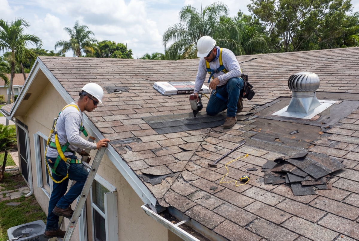 Roofers fixing asphalt shingle roof