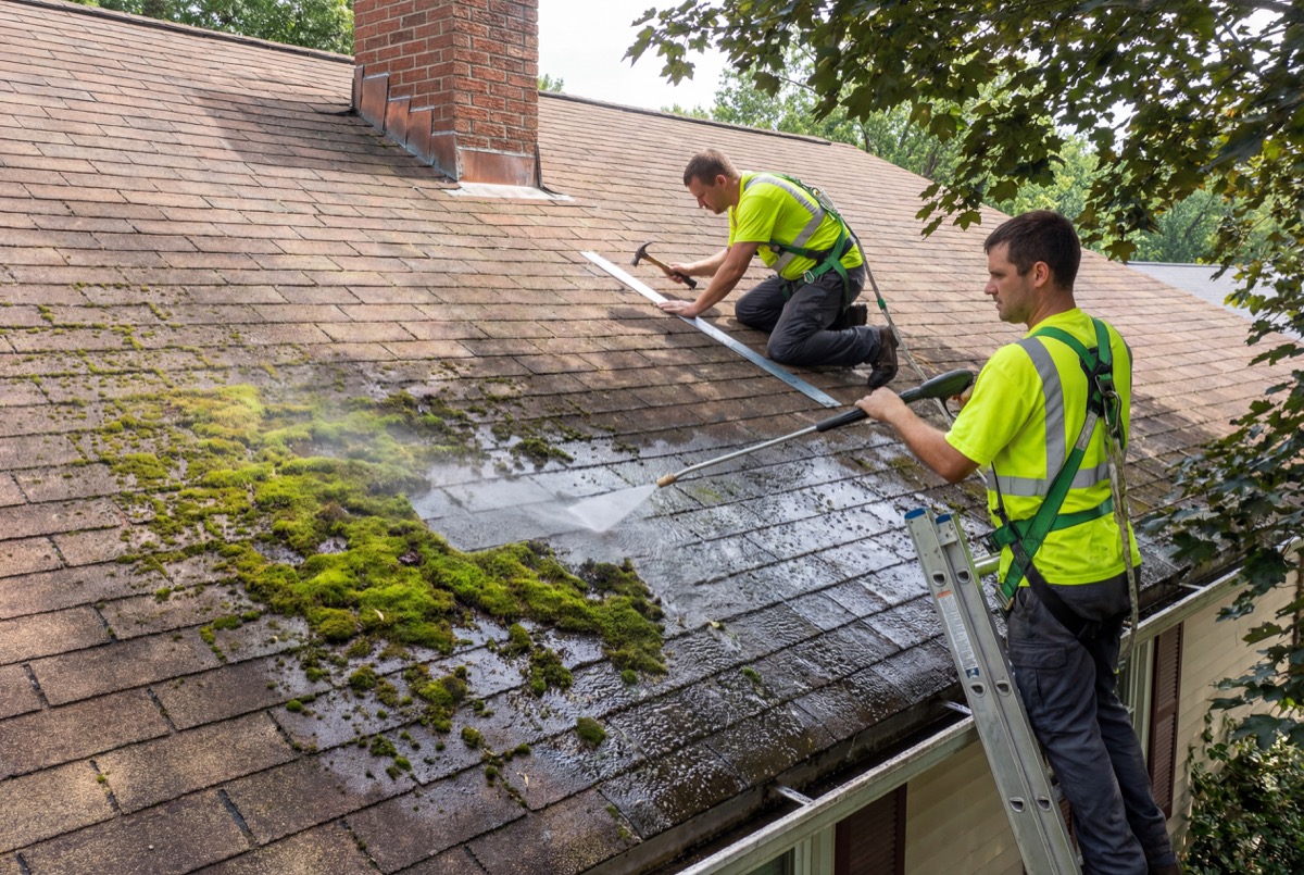 Workers cleaning moss from roof shingles