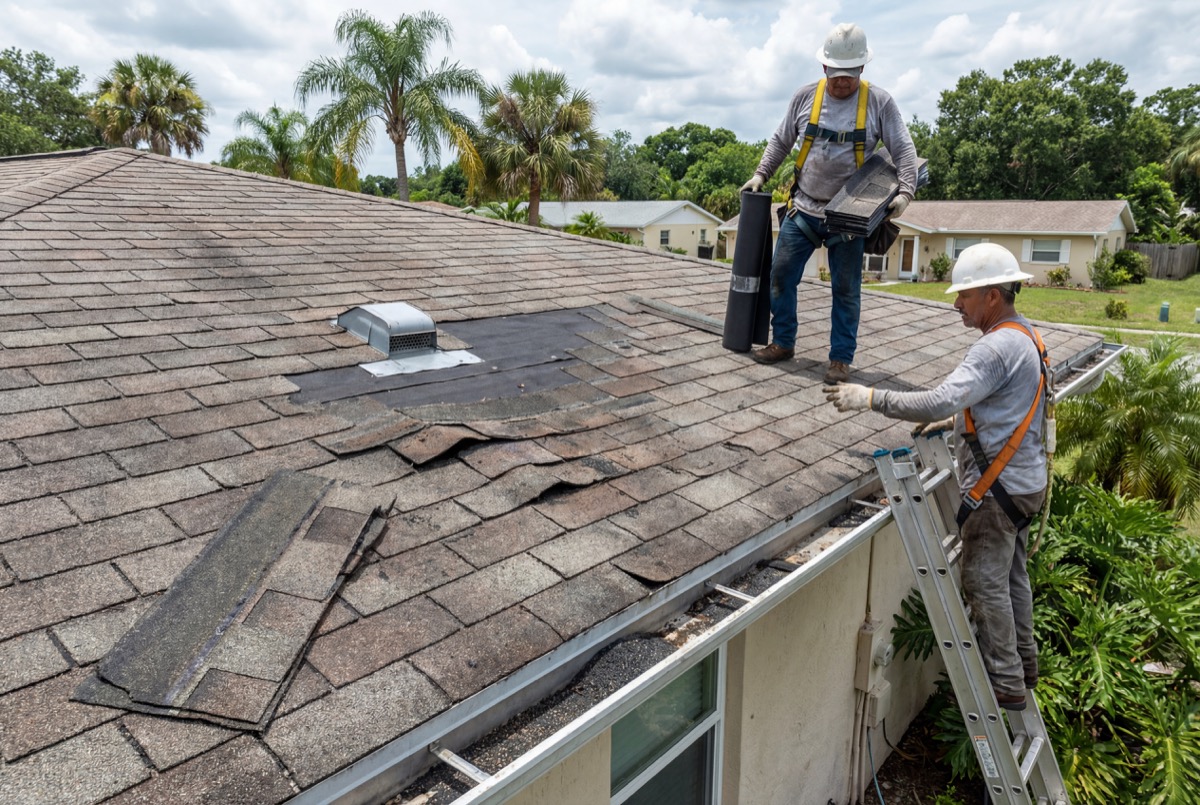 Roofers fixing damaged shingles on house roof